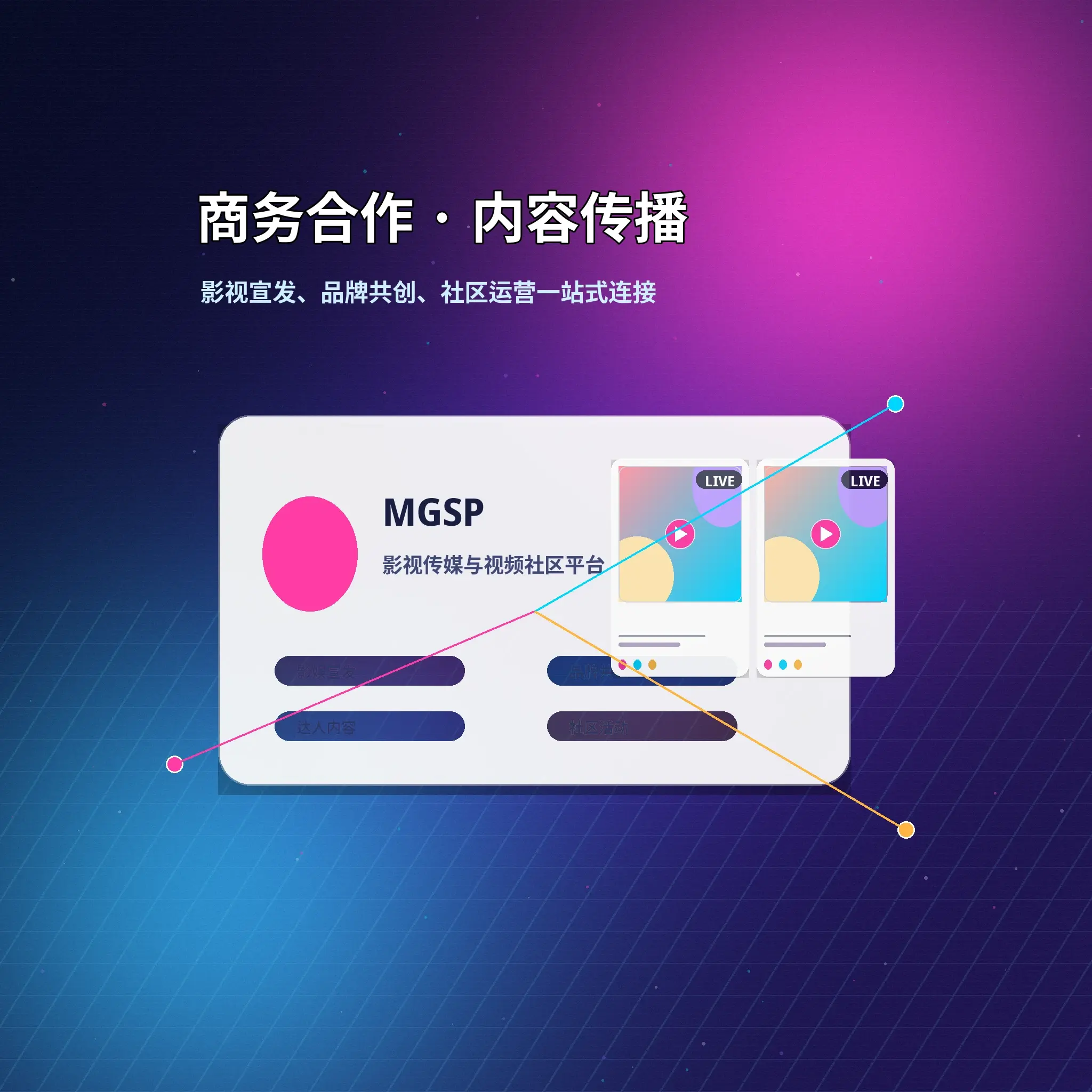 蘑菇视频账户问题与服务支持